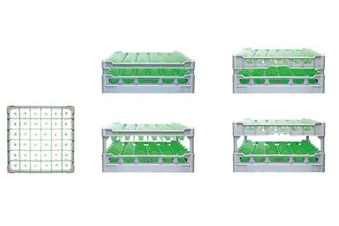 Glasss rack 36 compartments - 500x500x188mm - glass h:155mm - ø74mm