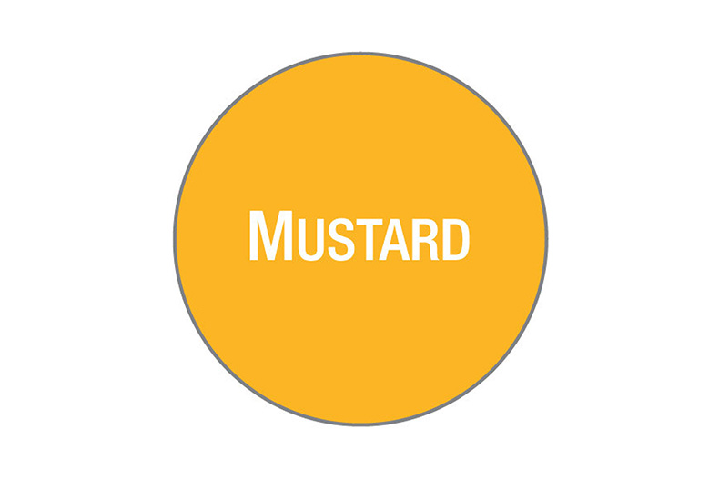 BOGEN MIT 24 ETIKETTEN - MUSTARD 