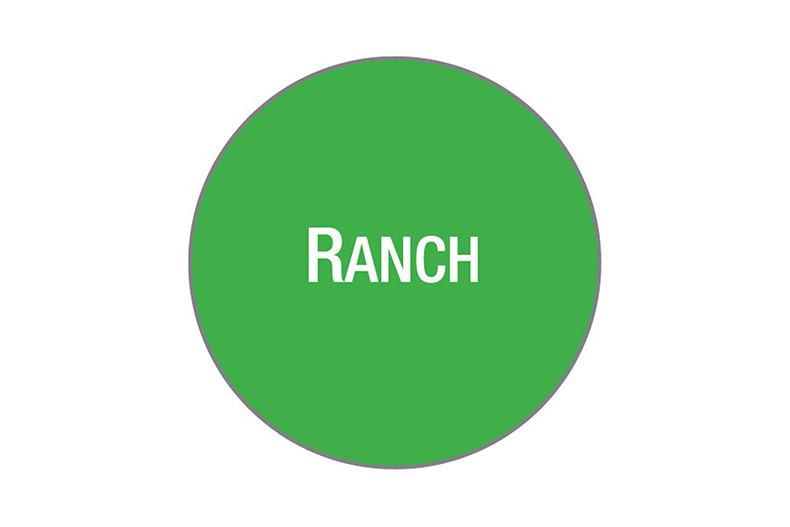 LABEL SHEET WITH 24 LABELS - RANCH DRESSING 