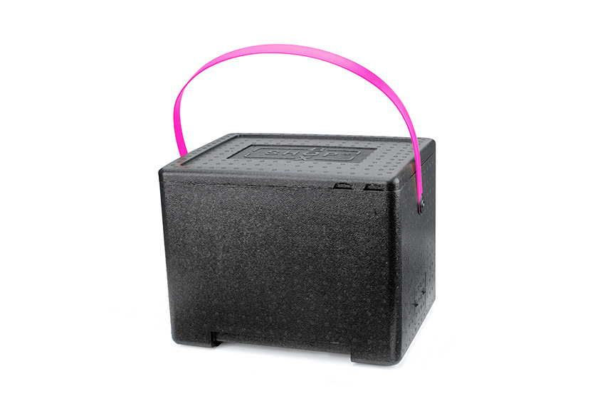 Isolierkühlbox Universal 31,2l - 415x320x320mm - Polibox Boxshop mit farbigem Tragegriff 